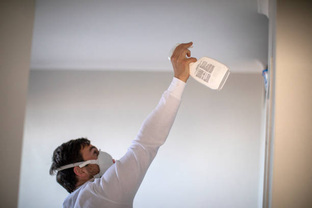 Best Attic Mold Removal  in Sierra Vista, AZ